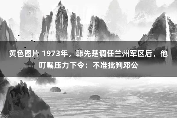 黄色图片 1973年，韩先楚调任兰州军区后，他叮嘱压力下令：不准批判邓公