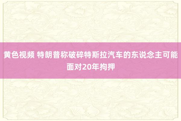 黄色视频 特朗普称破碎特斯拉汽车的东说念主可能面对20年拘押